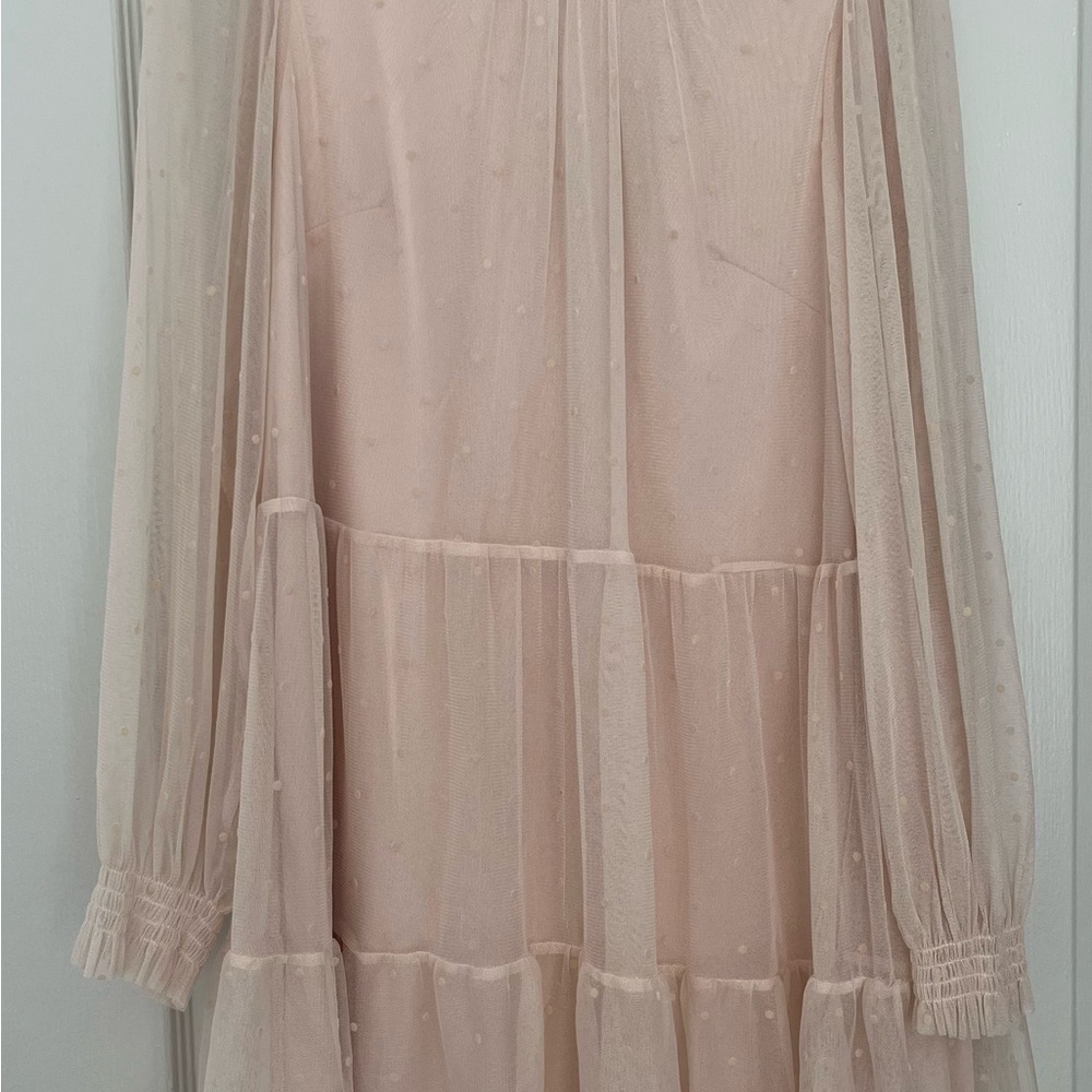 H&M Sheer Pink Long Sleeve Dress